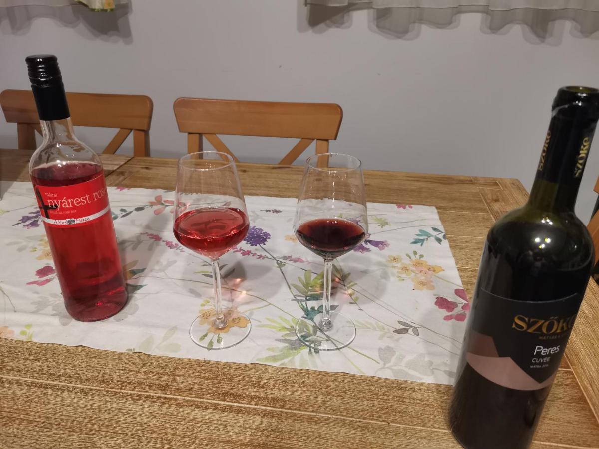 Apartmán Novak Porta Vendeghaz-Tab, Zala Exteriér fotografie
