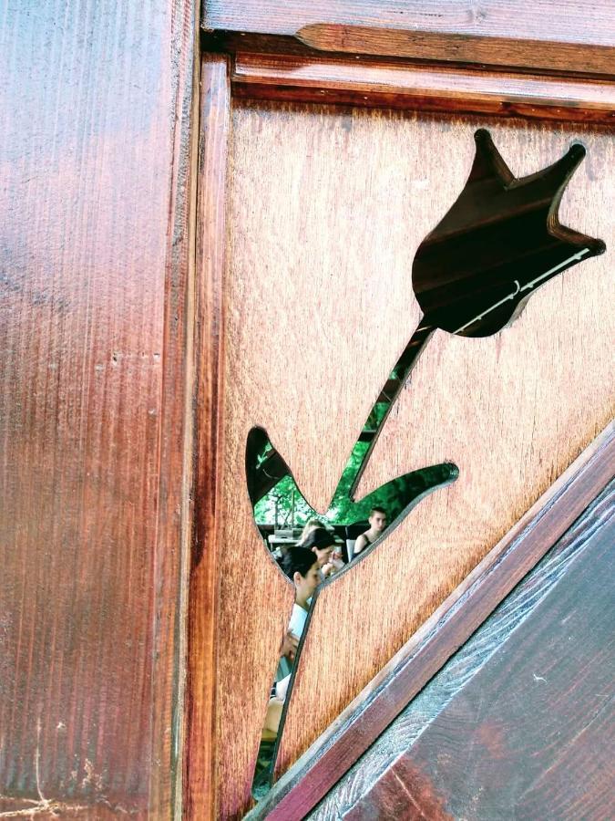 Apartmán Novak Porta Vendeghaz-Tab, Zala Exteriér fotografie